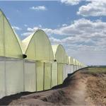 Agri-Processing & Value Chain Development 