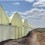 Market Access & Trade Facilitation 